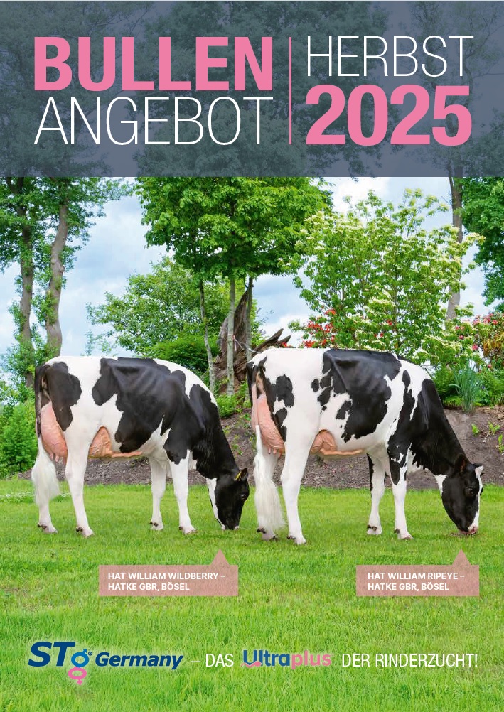 Bullenkatalog Herbst 2025