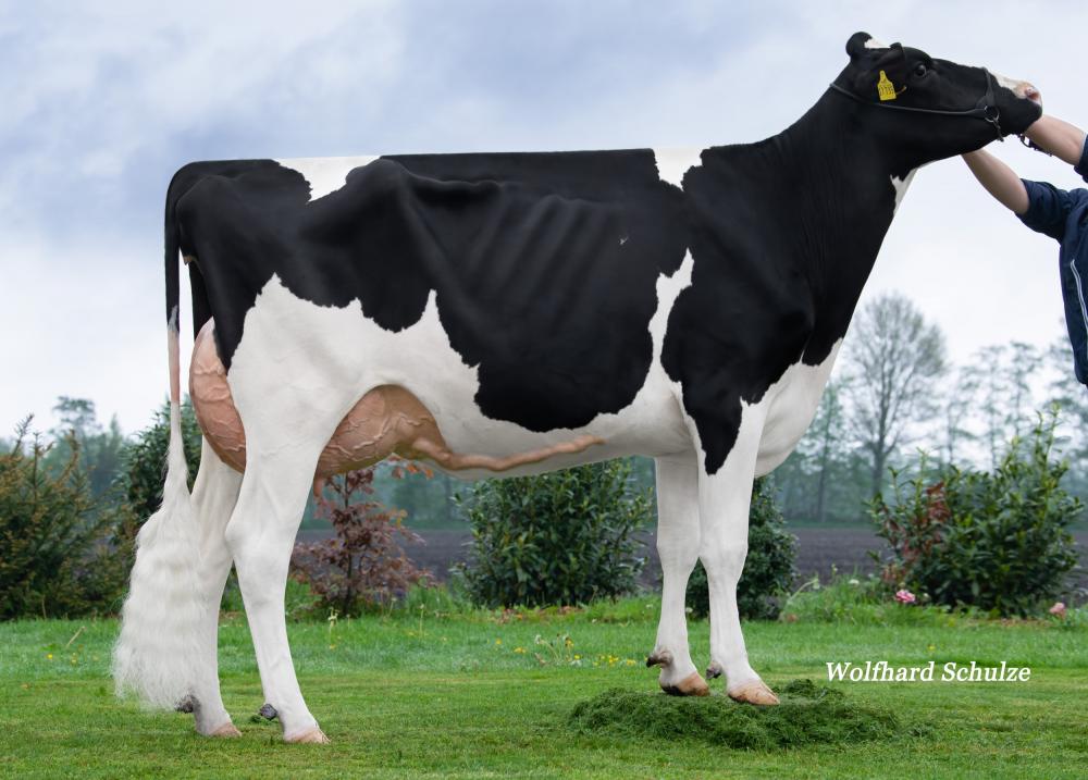 Ekkel Noemi VG-89 (Tochter)