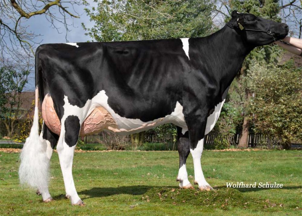 Schliecker Lina (Tochter)