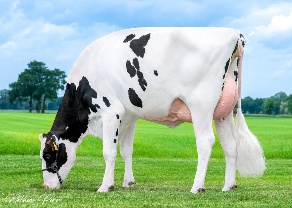 Arkel Anna (William)