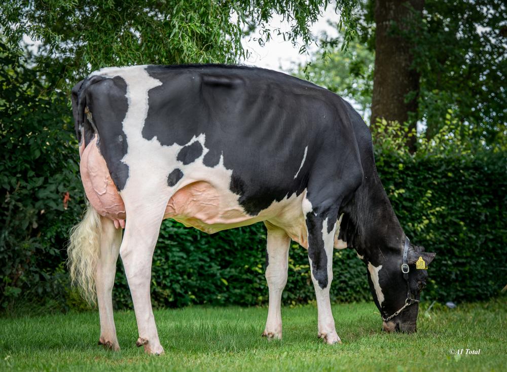 De Wijde Blik EQ Betty 2 VG-87