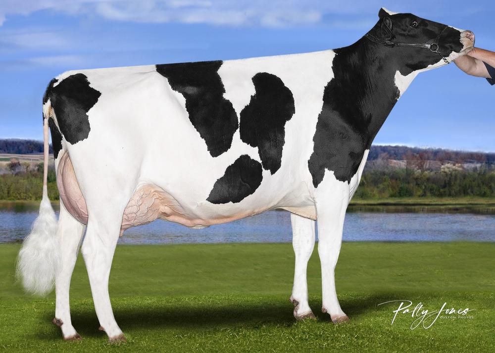 Stantons Remover Pionocolato VG-85