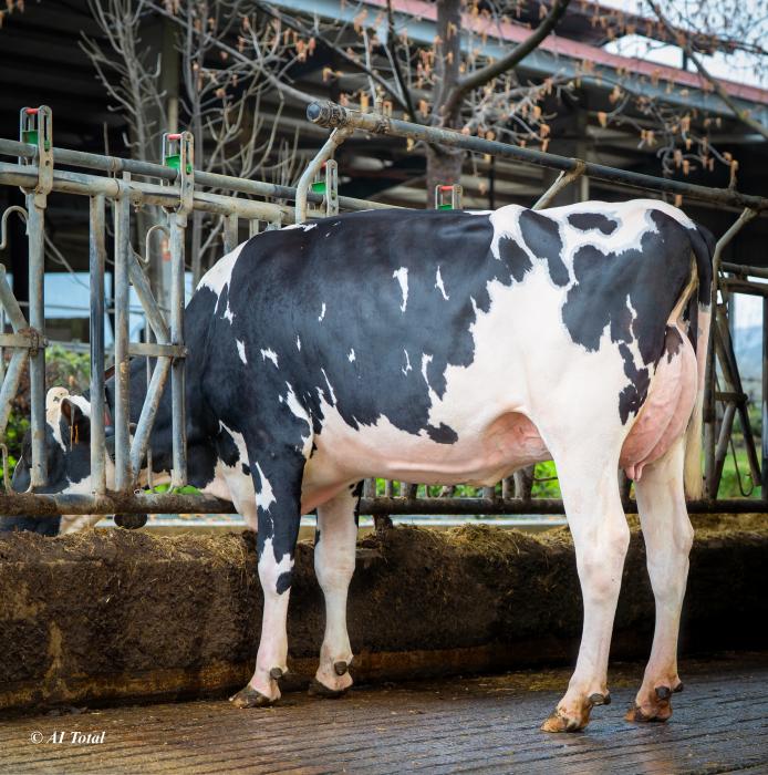 Gan Etxeberri Quality 3030