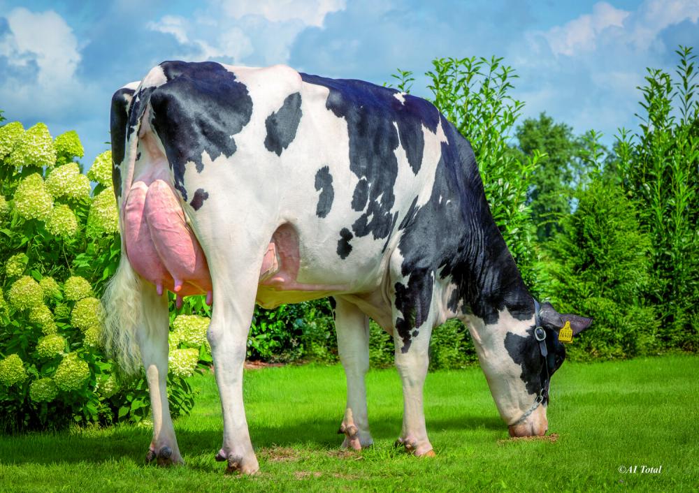 Ekkel Rammstein Caja RC