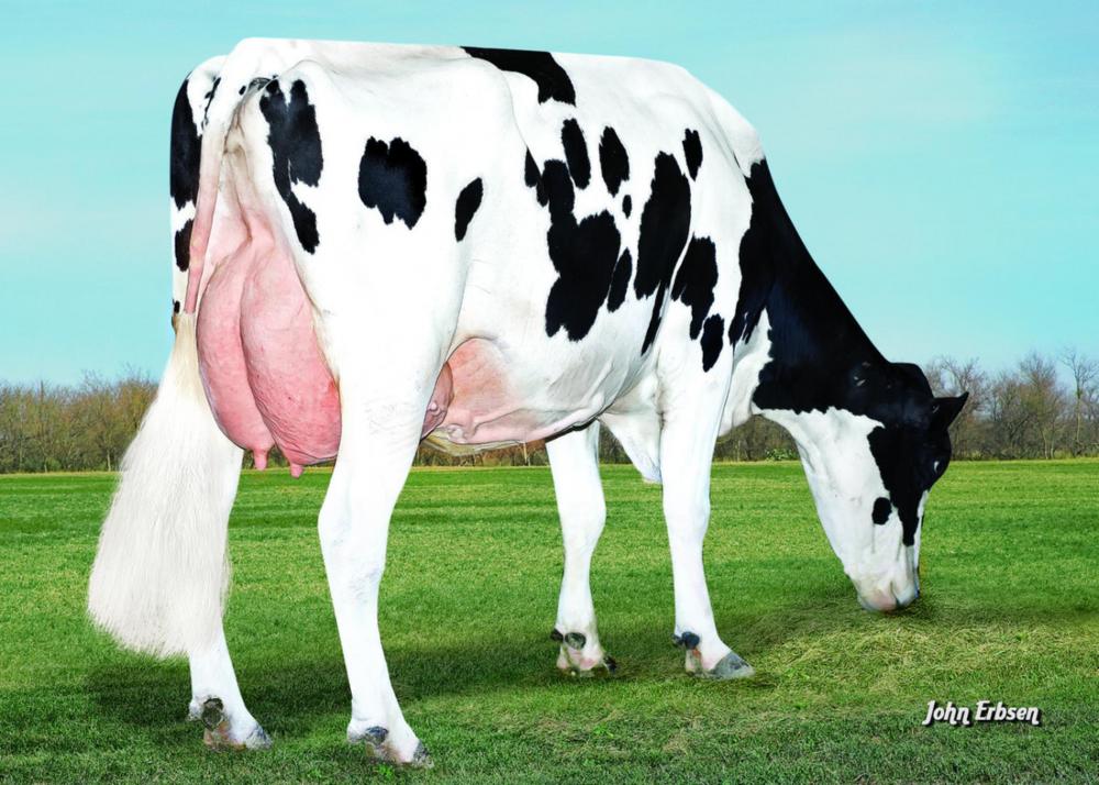 SSI Bookem Modesto VG-87 (5. Mutter)