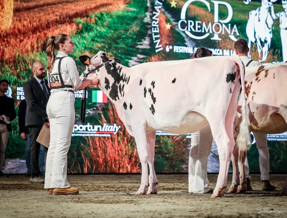 Fantasy Jerry Lewis Lia