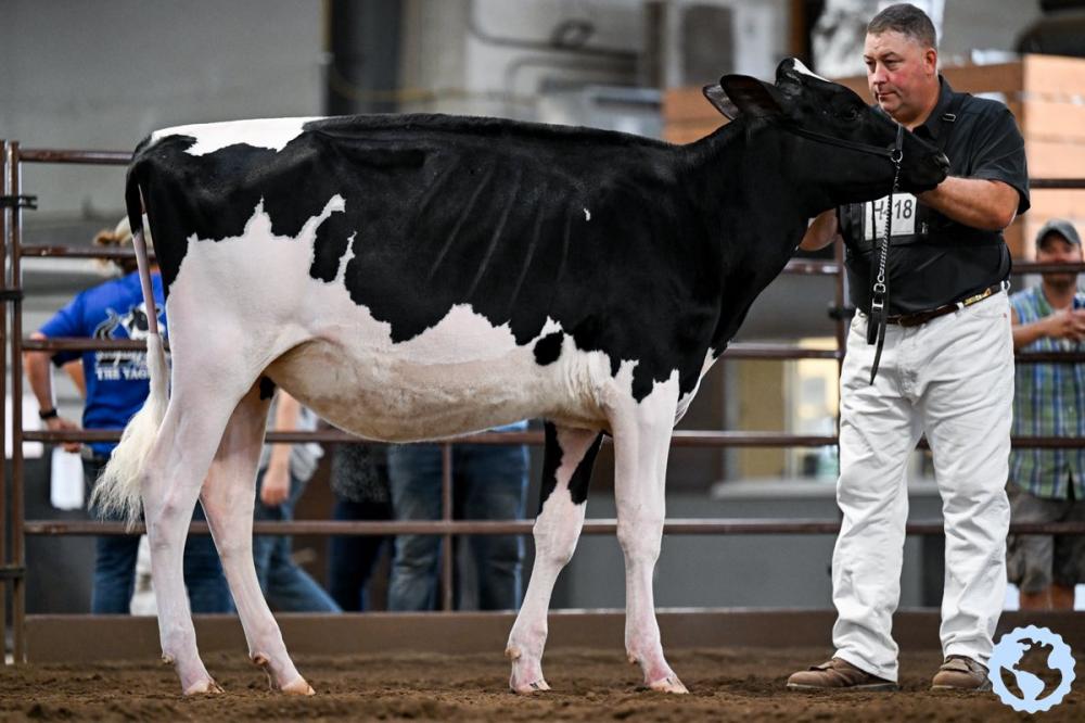 Elitelane Jerry Lewis Alaska