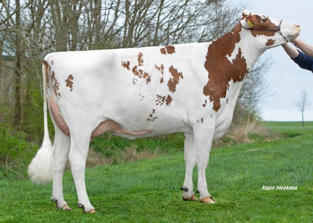 Lakeside UPS Red Range VG-86 (GM)