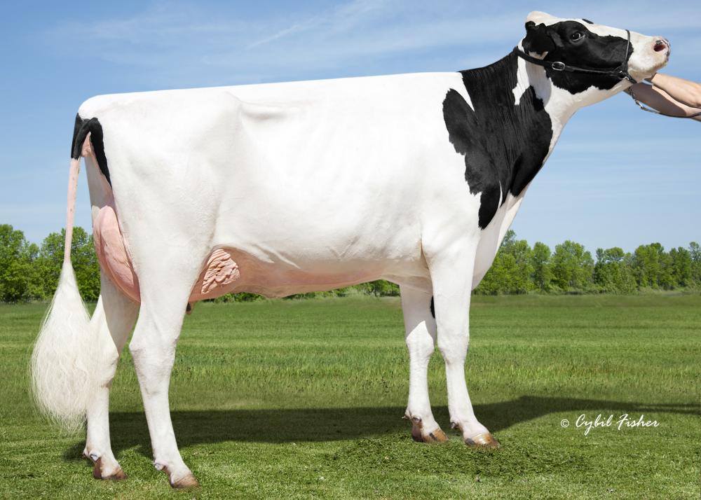 Speek-NJ T Joyful-ET VG-85 (3. Mutter)