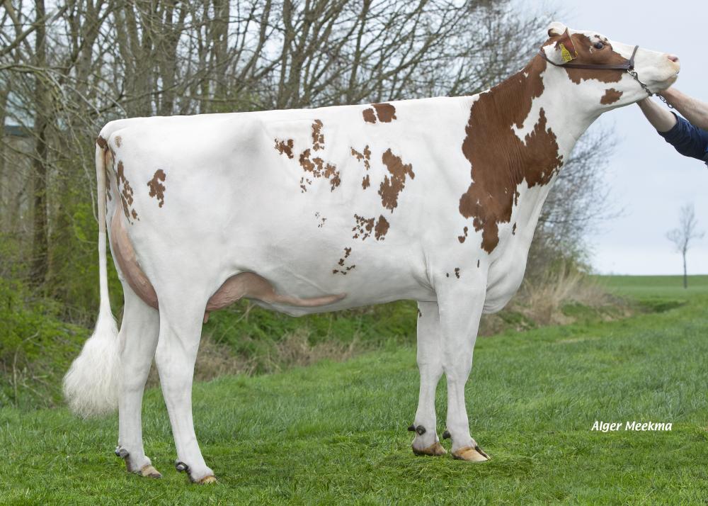 Lakeside UPS Red Range VG-86 (3.Mutter)
