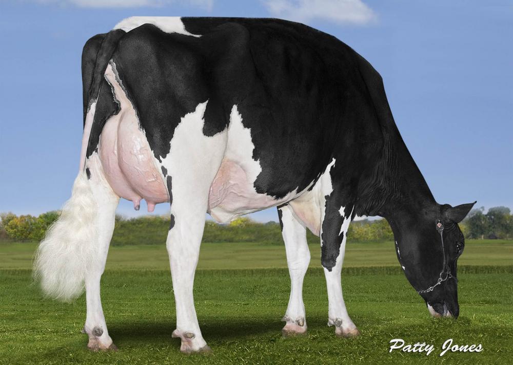 Calbrett Powerball Sangria VG-87 (3.Mutter)