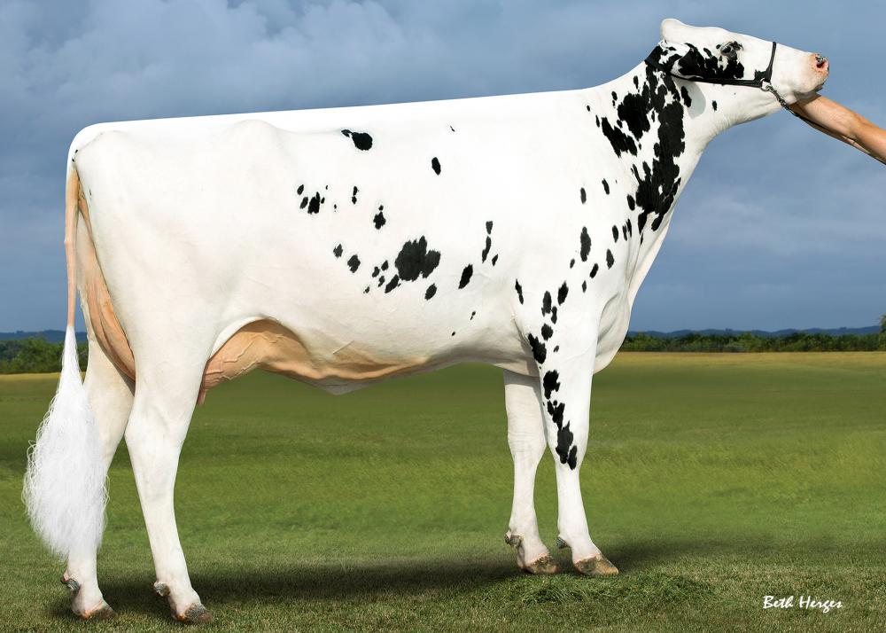 Westcoast Penmanship Aria VG-87 (4. Mutter)