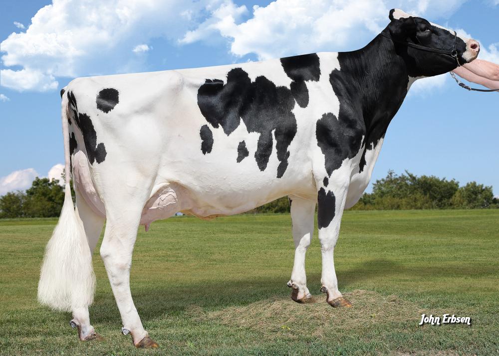 MORNINGVIEW RACER 4405 VG-88 (Großmutter)