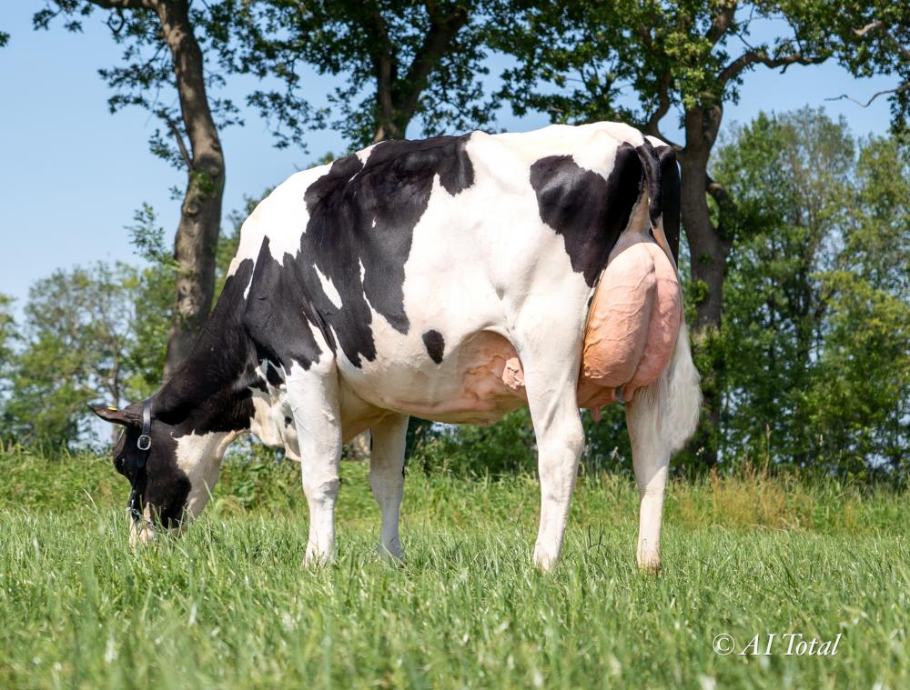 Gen Durkje VG-87 (Großmutter)