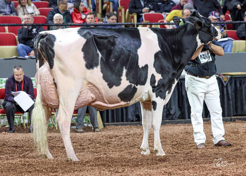 Ladyrose Caught Your Eye EX-95 (Mutter) - Madison 2023