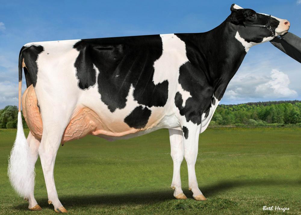 Ladyrose Caught Your Eye-ET EX-95 (Mutter)