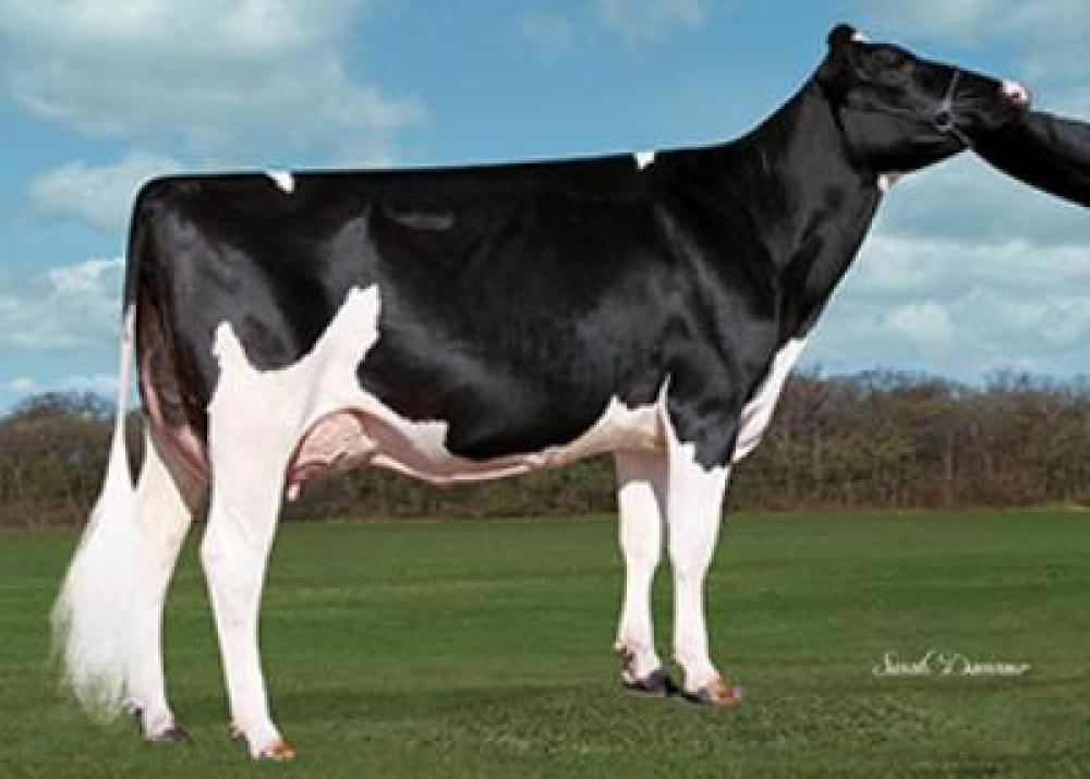 Co-Op Tango 6604 7425-ET (5. Mutter)