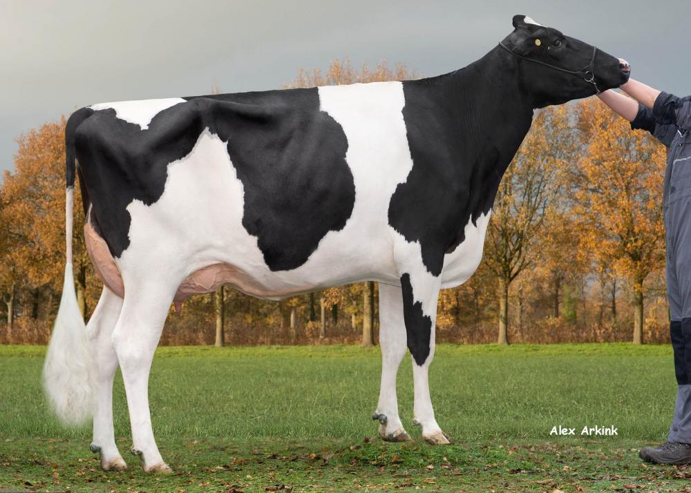 K&L OH Mabel (Mutter)