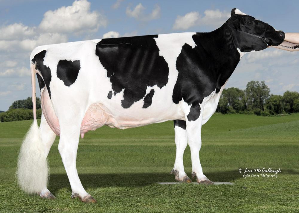 OCD Planet Danica EX-93 (6.Mutter)