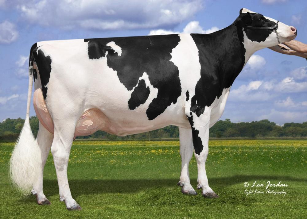 Duckett Lambda Hivanna EX-92 (Mutter)