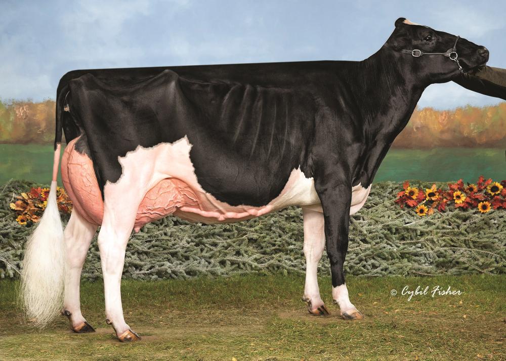 S-S-I Doc have Not EX-96 (Großmutter)