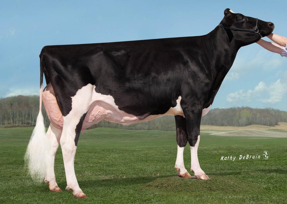 Ms Apples Aria EX-92 (3. Mutter)