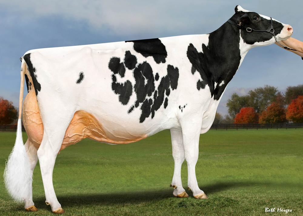Farnear TBR Adler EX-96 (Großmutter)