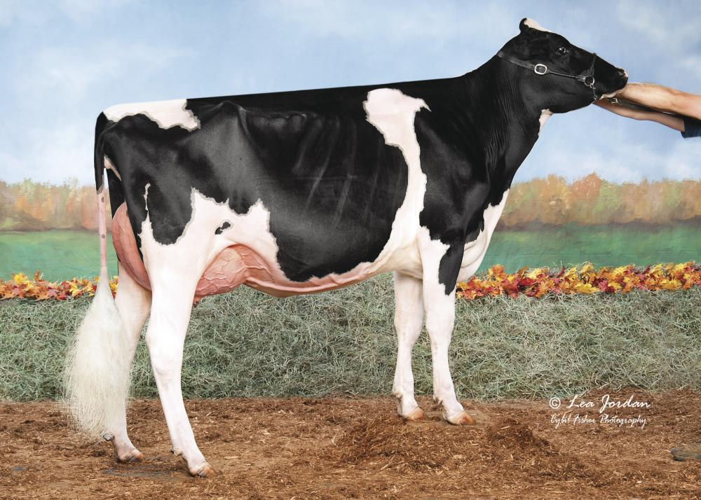 SSI Doc Have Not 8783 EX-92 (Großmutter)