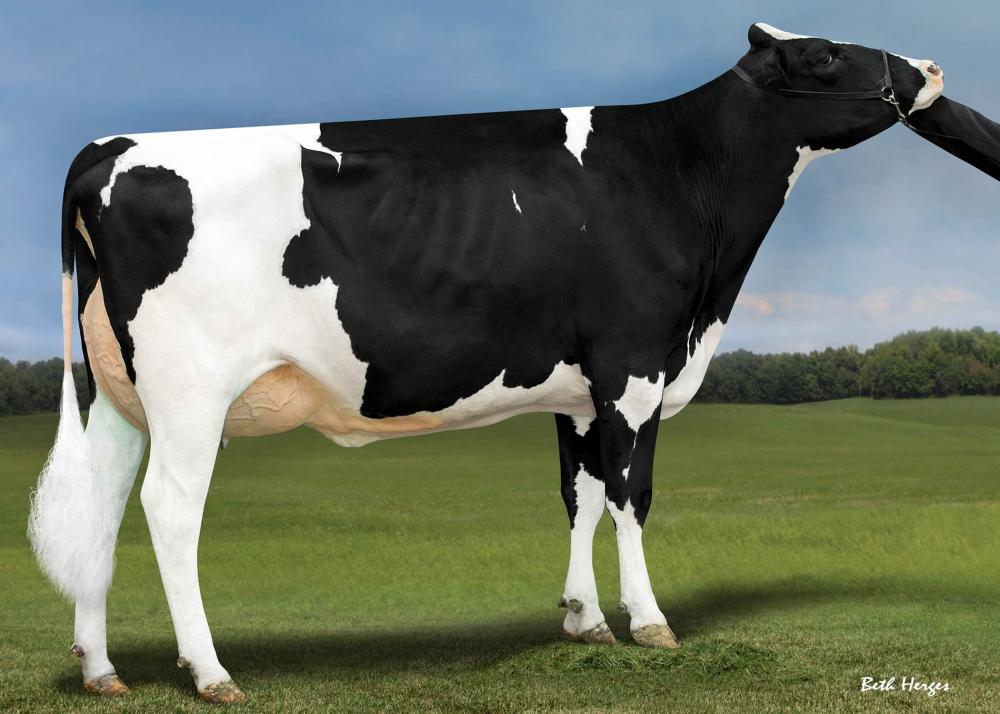 Genosource Dream Big EX-91 (3.Mutter)
