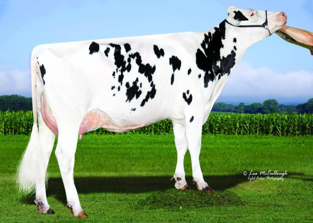 Bomaz Numero Uno 5904 VG-88 (5. Mutter)