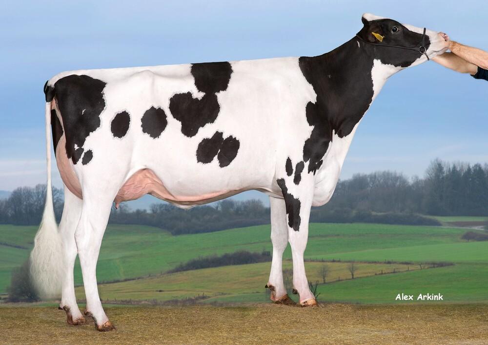 SJK Captain 1498 VG-85 (Mutter)