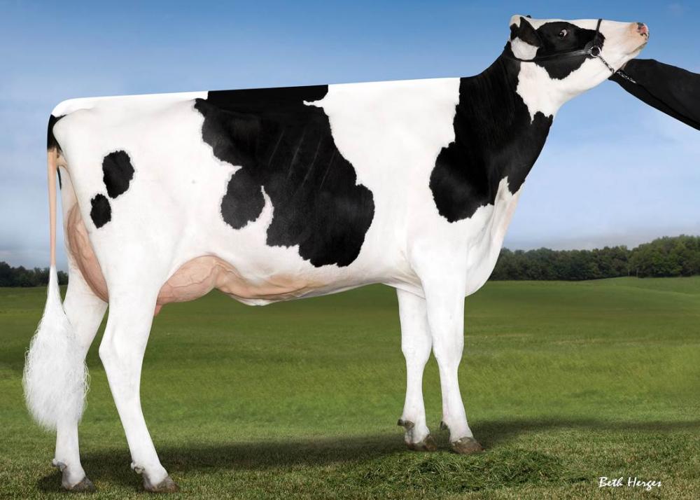 Genosource Rdelta 32507-ET VG88 (3. Mutter)