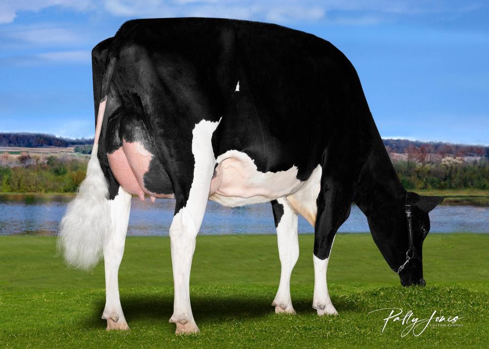 Stantons Conway Twitty VG-86 (Mutter)