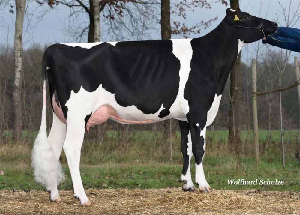 Rosylane Kerrigan VG-86 (3. Mutter)