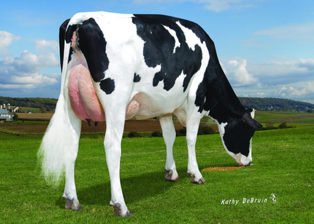 Endco Yoder L7933 9839 VG-86 (3. Mutter)