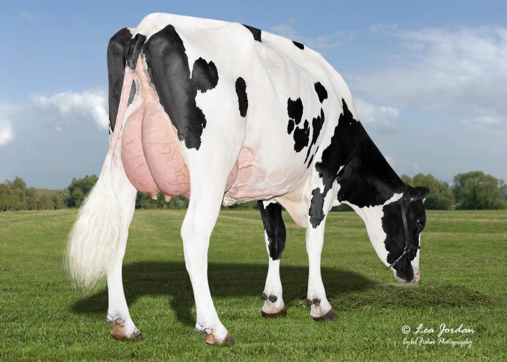 Aprilday Captn Valdouro VG-85 (Großmutter)