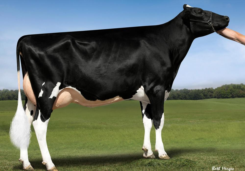 Genosource Sabre 35223 VG-85 (3.Mutter)