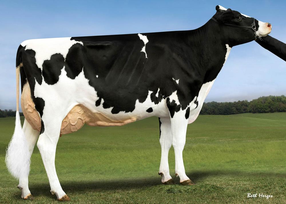 Edg Genosource 31702 EX-90 (3.Mutter)