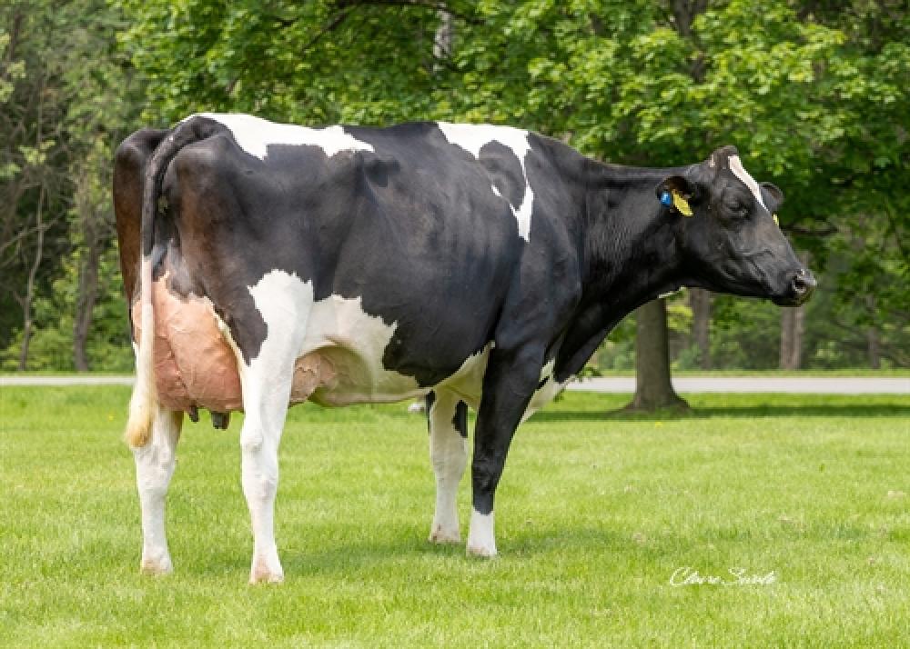 Aurora Parfect 23719 VG-88 (Mutter)