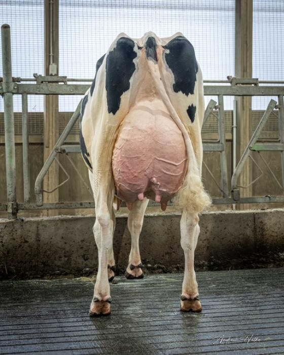 OCD Weelhouse Rae 68559 EX-91 (Mutter)