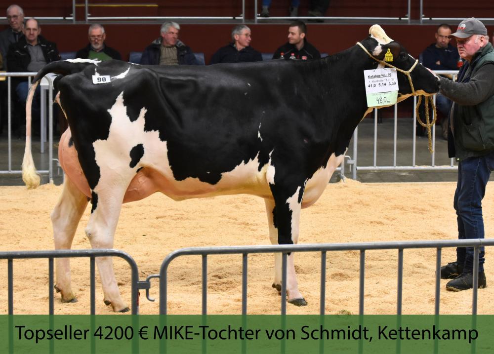 Mike Tochter von Heinrich Schmidt