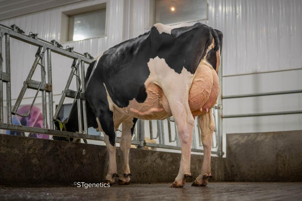 Genosource Jagger 74599 VG-86 (Mutter)