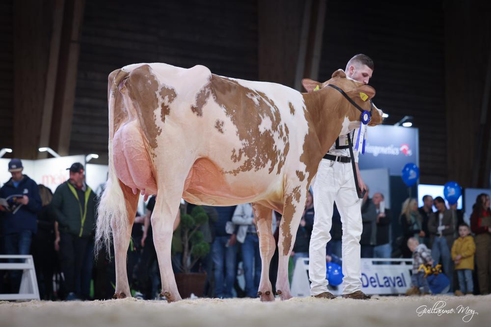 Drognens Doral Orianna (Tochter)